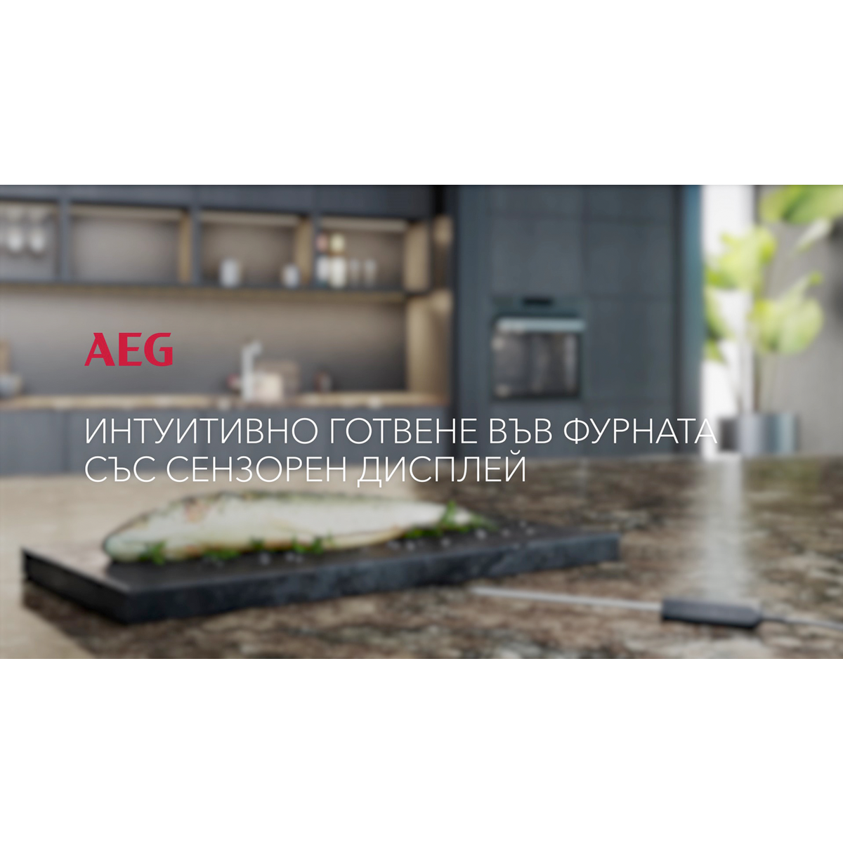 AEG - Пиролитична фурна - BSE778380B