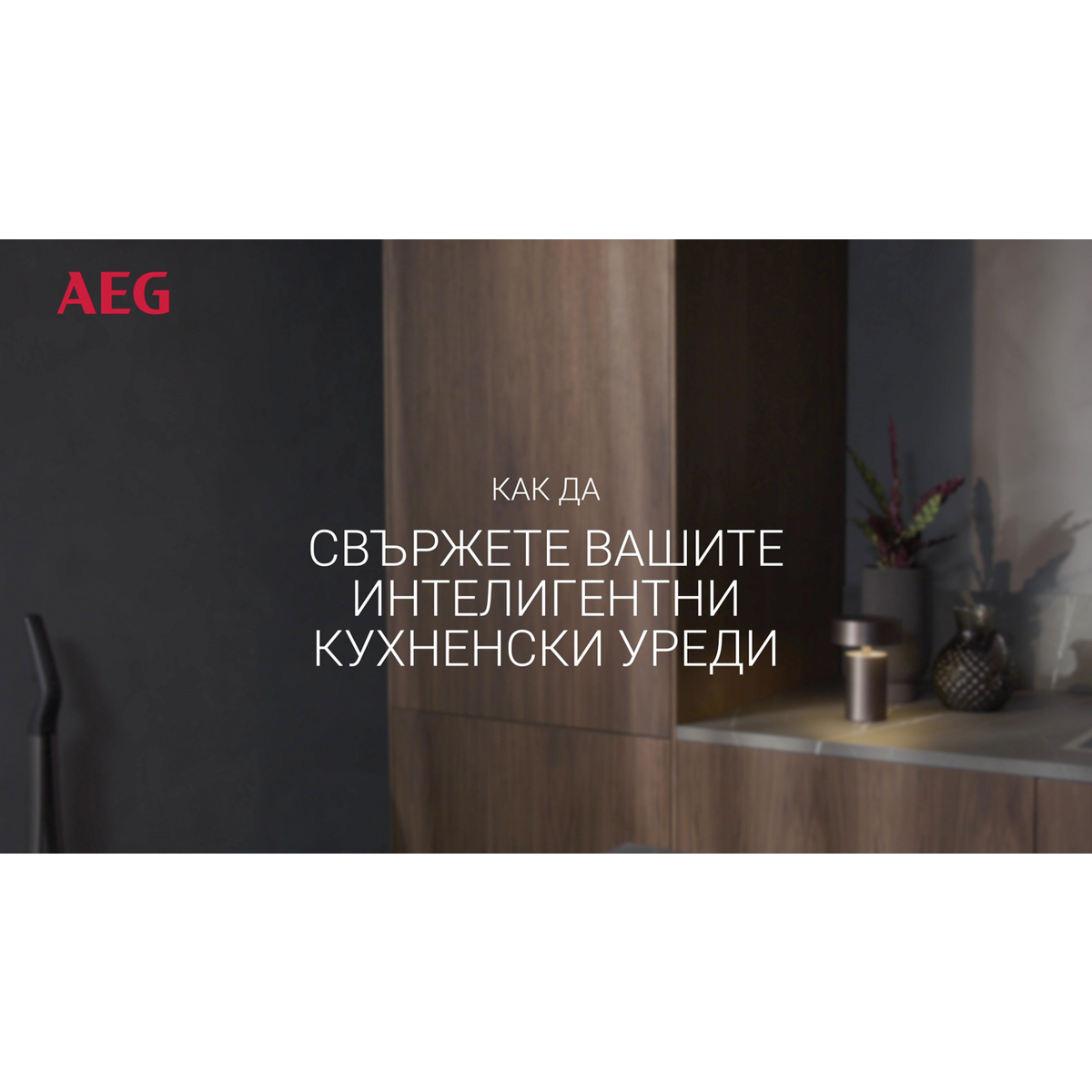 AEG - Съдомиялна за вграждане - FSK77718P