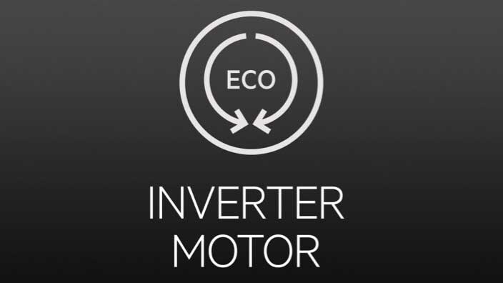 Inverter motor