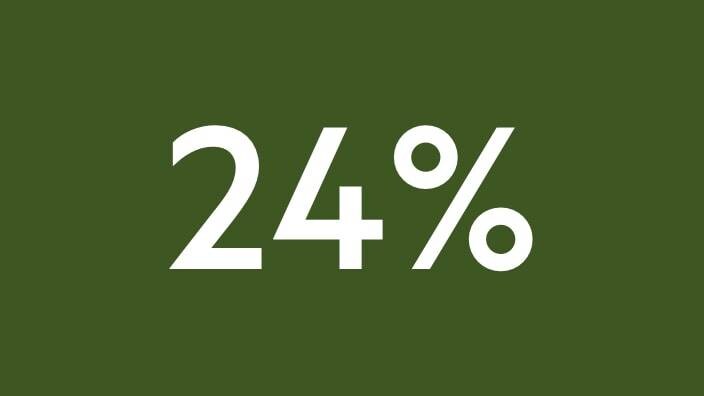 24% текст